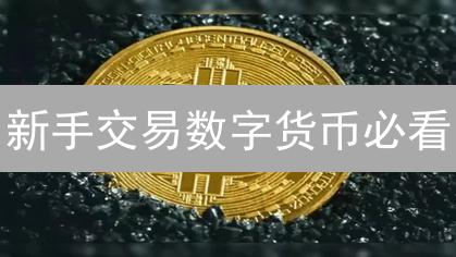 新手交易数字货币必看：10步掌握，告别韭菜命运！