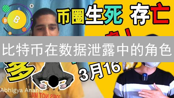 比特币在数据泄露中的角色：黑暗面与机遇分析