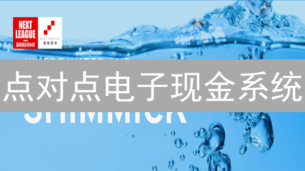 点对点电子现金系统：区块链技术解决双重支付问题
