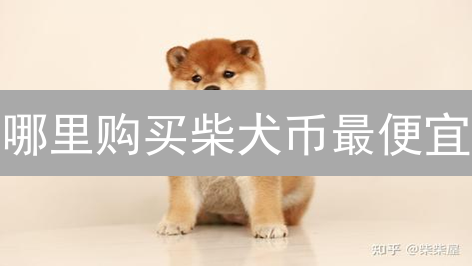 哪里购买柴犬币最便宜？平台比较与成本因素分析