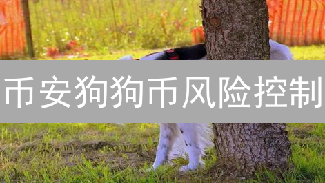币安狗狗币风险控制：价格波动应对策略深度解析