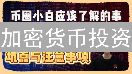 加密货币投资：新手入门指南，抓住暴富机会？