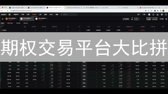 期权交易平台大比拼：谁是你的最佳选择？新手老手看过来！