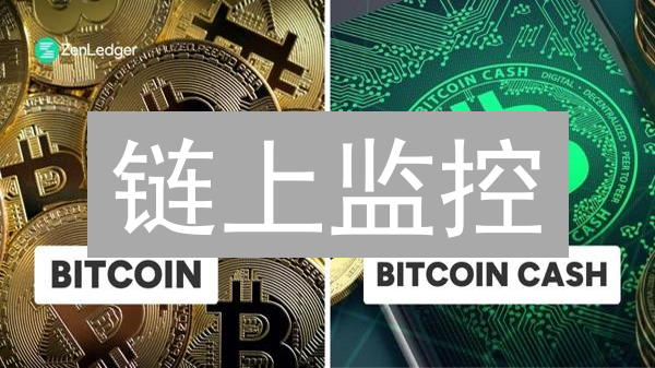 链上监控：你的区块链世界洞察之眼，别让风险溜走！