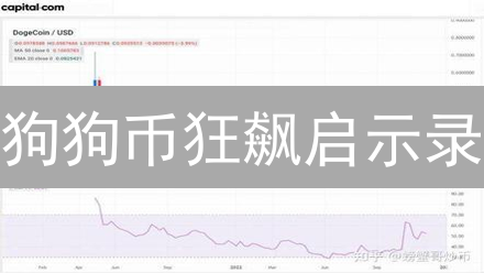 狗狗币狂飙启示录：社交媒体如何引爆加密货币？