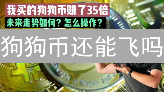 狗狗币还能飞吗？欧易平台上的意外之旅！
