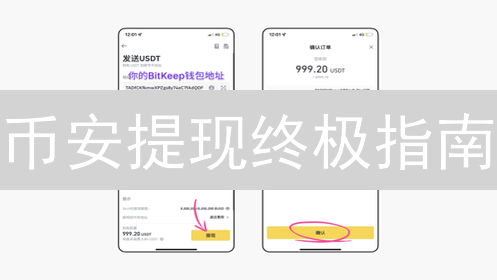 币安提现终极指南：一不小心就踩坑！避坑必读！