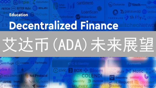 艾达币(ADA)未来展望：DeFi、NFT与基础设施革命？