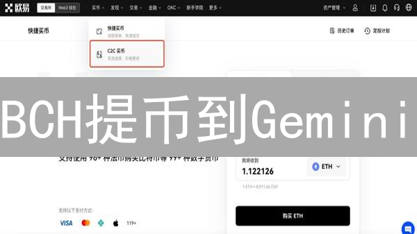 BCH提币到Gemini？图文详解：避坑指南与极速到账秘籍！
