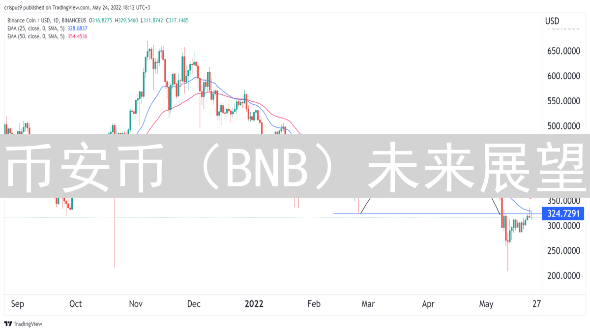 币安币（BNB）未来展望：机遇、挑战与预测分析
