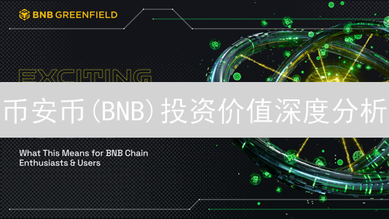 币安币(BNB)投资价值深度分析：生态系统与发展前景