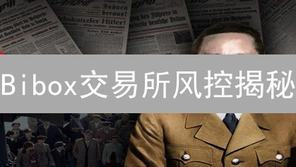 Bibox交易所风控揭秘：如何守护你的数字资产？