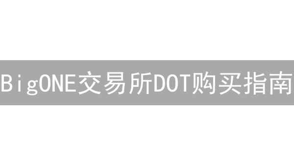 BigONE交易所DOT购买指南：新手也能轻松上手！