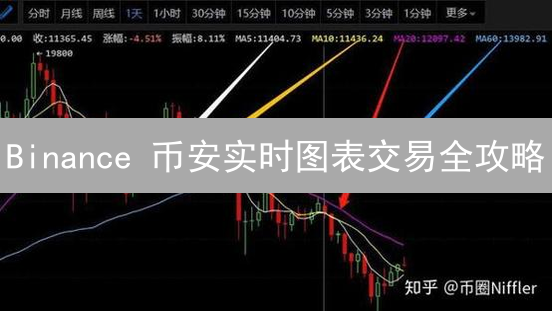 Binance 币安实时图表交易全攻略：新手到精通！