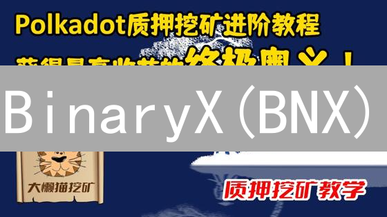 BinaryX(BNX)：GameFi与元宇宙的引擎探索