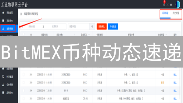 BitMEX币种动态速递：不再错过暴富机会！🔥