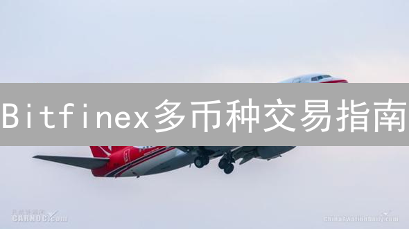 Bitfinex多币种交易指南：降低手续费的有效策略