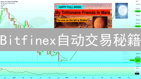 Bitfinex自动交易秘籍：新手也能轻松驾驭智能合约？