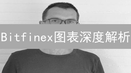 Bitfinex图表深度解析：新手到专家盈利之路！