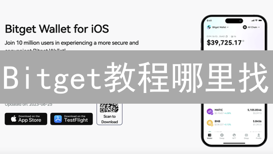 Bitget教程哪里找？2025新手必看，快速掌握交易技巧！