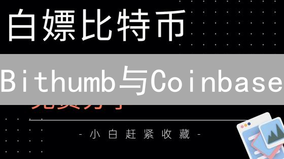 Bithumb与Coinbase：新手加密货币交易所选择指南