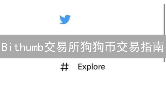Bithumb交易所狗狗币交易指南：新手必读，避坑攻略！
