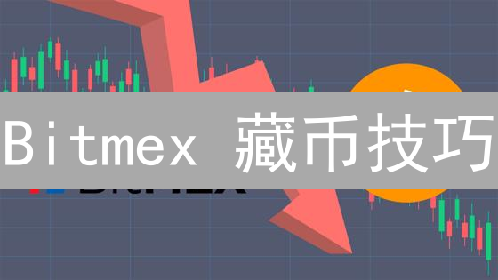 Bitmex 藏币技巧：十大策略保障你的加密资产安全！
