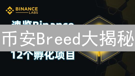 币安Breed大揭秘：鲜为人知的生态布局，如何颠覆加密世界？