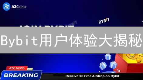 Bybit用户体验大揭秘：避坑指南与交易提速技巧！