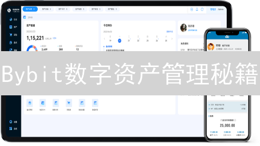 Bybit数字资产管理秘籍：报表分析、风险控制与收益提升！