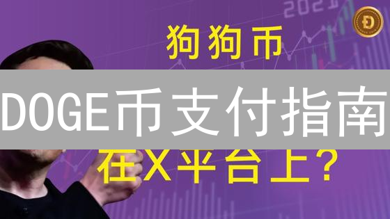 DOGE币支付指南：新手也能轻松上手！
