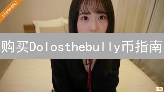 购买Dolosthebully币指南：步骤、风险与平台选择