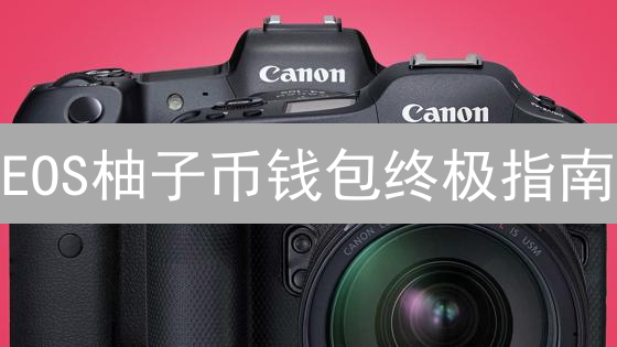 EOS柚子币钱包终极指南：告别选择困难症，安全便捷两不误！