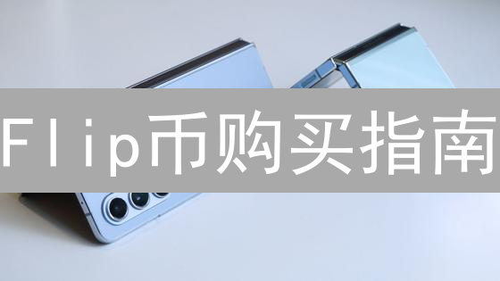 Flip币购买指南：交易所选择与操作详解