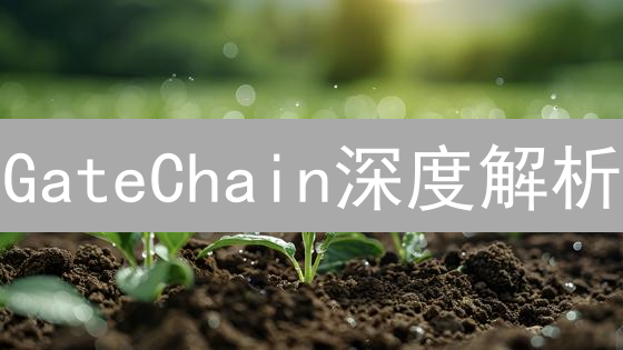 GateChain深度解析：交易所公链能否弯道超车？【内幕揭秘】