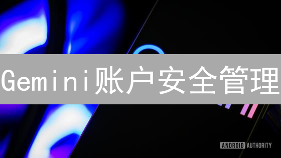 Gemini账户安全管理：如何避免爆仓？7个技巧！