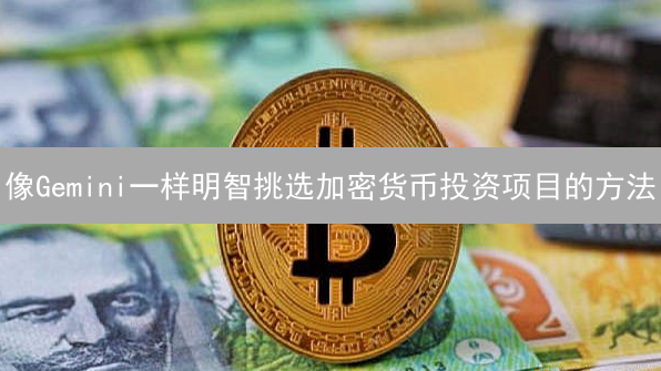 像Gemini一样明智挑选加密货币投资项目的方法
