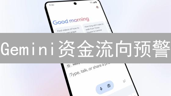 Gemini资金流向预警：牛市信号？熊市前兆？