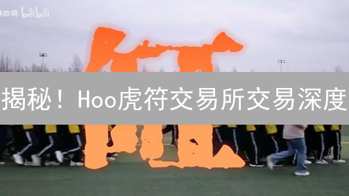 揭秘！Hoo虎符交易所交易深度：如何影响你的交易成本？