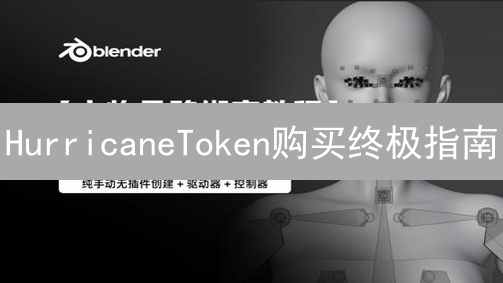 HurricaneToken购买终极指南：新手也能轻松掌握！