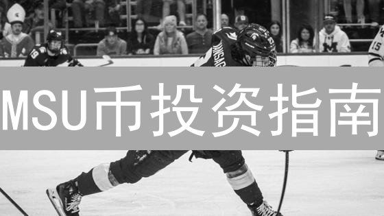 MSU币投资指南：风险警示与购买渠道深度解析！