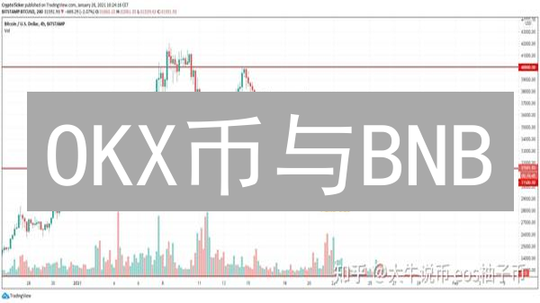 OKX币与BNB：未来价格走势深度预测分析