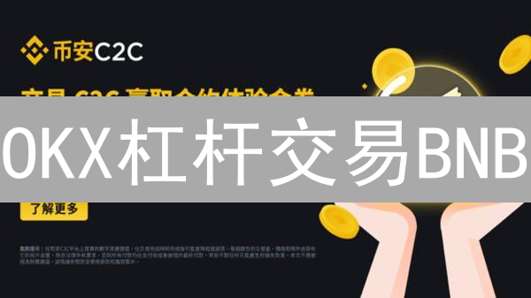 OKX杠杆交易BNB：如何放大收益？新手必看！