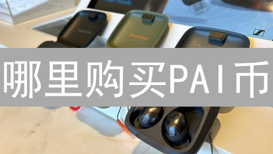 哪里购买PAI币：交易所选择与风险评估指南