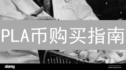 PLA币购买指南：别踩坑！5分钟玩转PlayDapp代币投资！