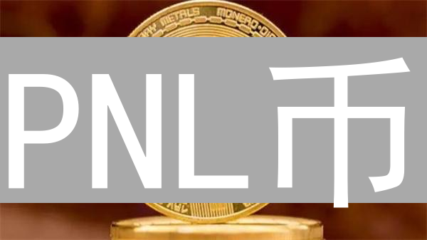 PNL币：解析盈利与亏损的数字镜像，探索概念与潜力