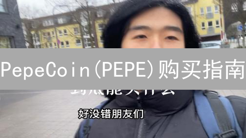 PepeCoin(PEPE)购买指南：新手如何踏入Meme加密货币世界