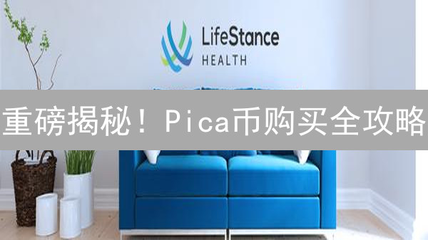 重磅揭秘！Pica币购买全攻略：新手也能轻松上手！