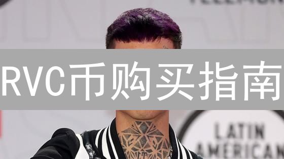 RVC币购买指南：途径、考量因素及风险提示