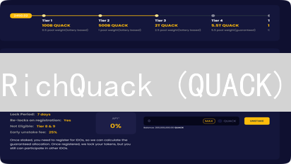 RichQuack (QUACK)：下一个百倍币？深度解析与风险提示！